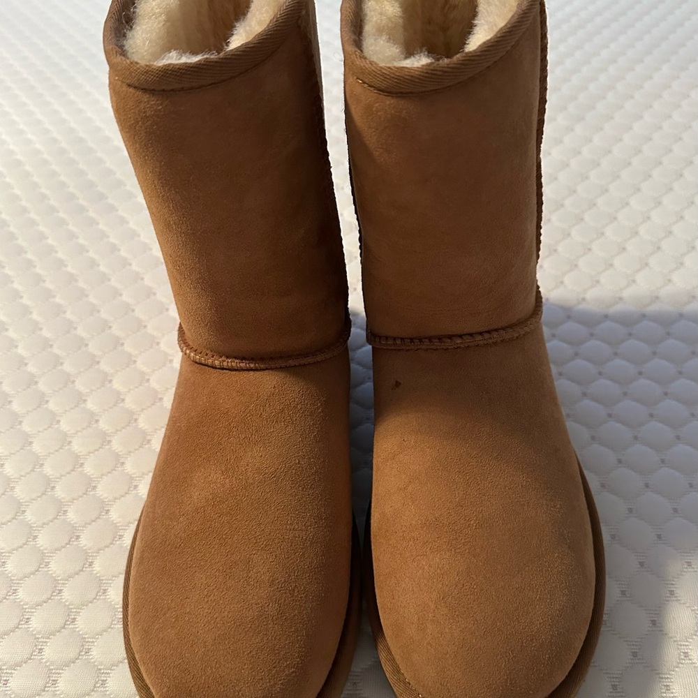 UGG Chestnut Suede Ankle Boots
